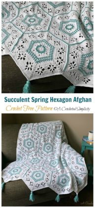 Succulent Spring Hexagon Afghan Crochet Free Pattern - Crochet & Knitting