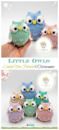 Amigurumi Little Owls Crochet Free Pattern - Crochet & Knitting