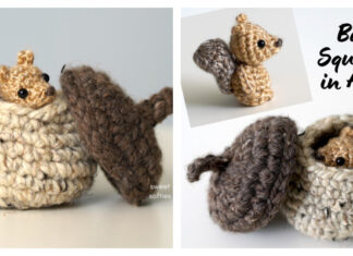 Amigurumi Baby Squirrel in Acorn Crochet Free Pattern