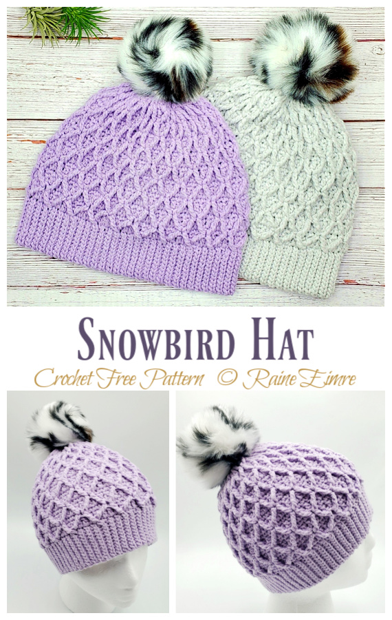 Snowbird Hat Crochet Free Pattern [Video]