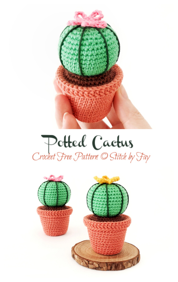 Potted Cactus Crochet Free Pattern [Video] - Crochet & Knitting