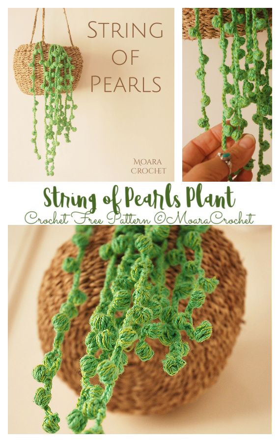 String of Pearls Plant Crochet Free Pattern